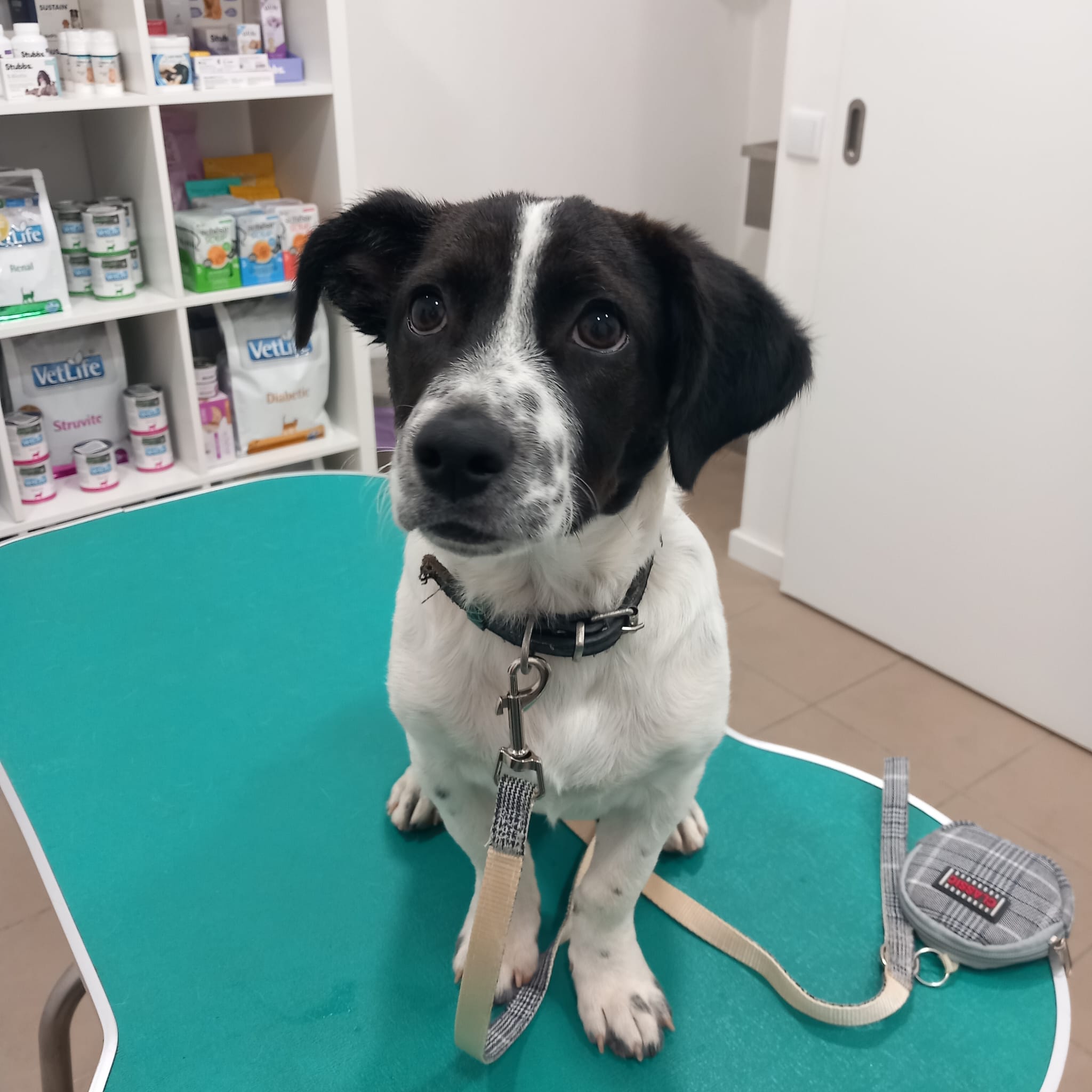 WhatsApp Image 2025-09-30 at 20.55.23